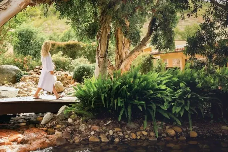 Best Wellness Spa Resort United States: Architectural & Clinical Criteria